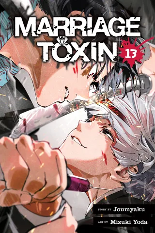 Cover of Marriage Toxin, Vol. 13