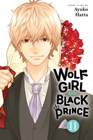 Cover of Wolf Girl and Black Prince, Vol. 11