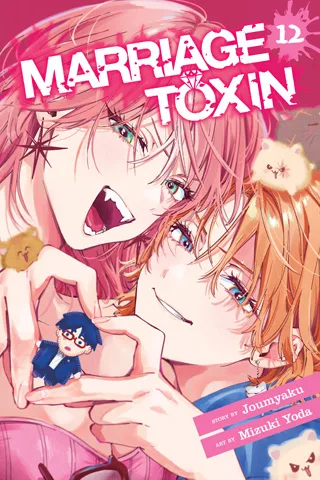 Cover of Marriage Toxin, Vol. 12