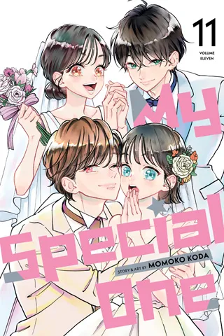 Cover of My Special One, Vol. 11